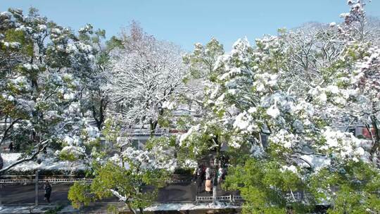 湖南省长沙市岳麓山岳麓书院雪景4k航拍