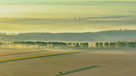 田野晨雾森林远景风光
