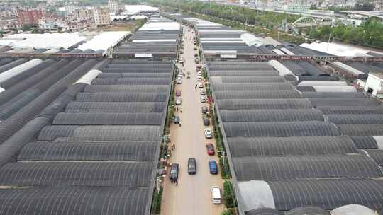 现代农业大棚种植基地航拍