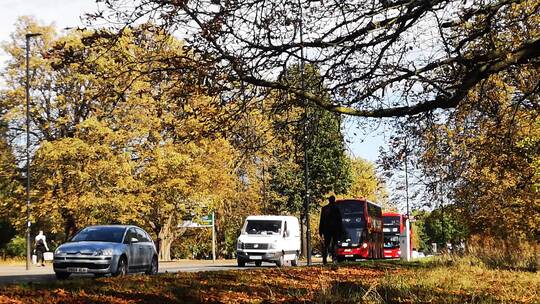 秋季伦敦街道上的交通状况视频素材模板下载