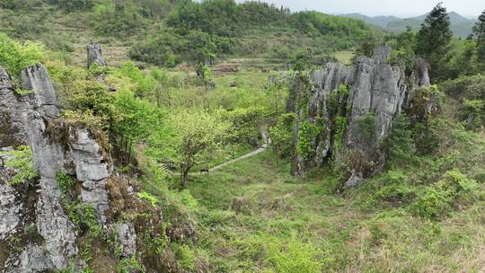 湖南龙山洛塔石林