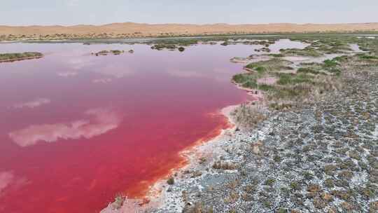 航拍中卫沙漠黄河腾格里沙漠穿越五湖乌兰湖