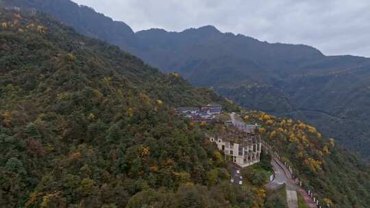 高清实拍眉山洪雅瓦屋山森林