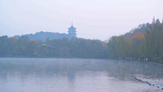 杭州西湖雷峰塔秋天晨雾风景