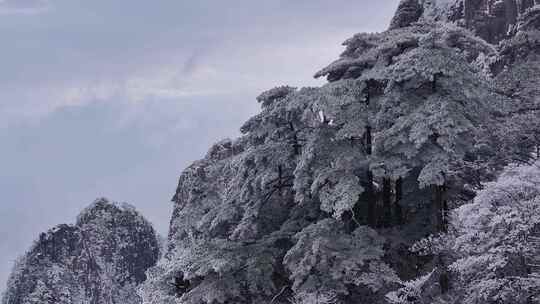 安徽黄山雪景