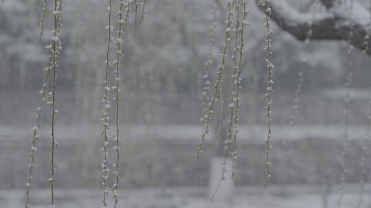 冬季雪景 城市初雪 下雪空镜