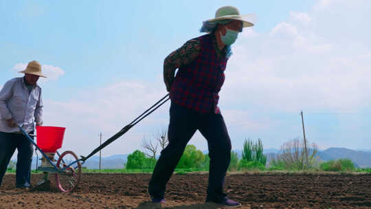 夏日的农村两个老人在地里犁地干农活播种