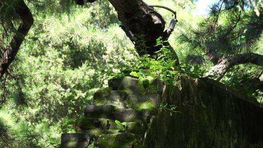 古代砖墙石砖城墙遗迹遗址青苔