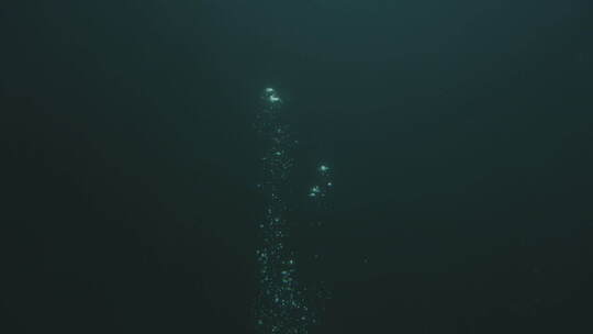 实拍写实海底气泡01视频素材模板下载