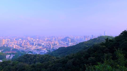 广州白云山绿树森林与城市密集建筑群全景