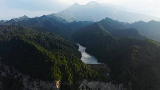 重庆窑湾森林公园