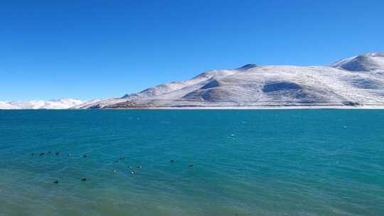 航拍西藏冬季羊卓雍措羊湖纳木错湖水与雪山