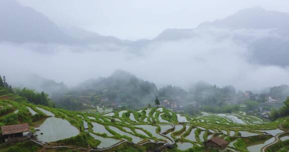 江南田园梯田烟雨朦胧风光