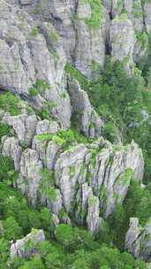 竖版航拍湖北神农架景区神农谷悬岩峭壁