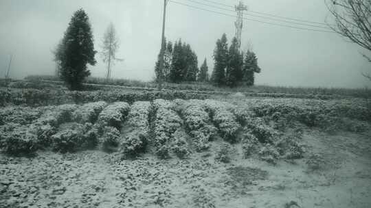 寒潮冬天下雪的村庄田野