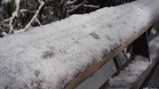 雪山海螺沟