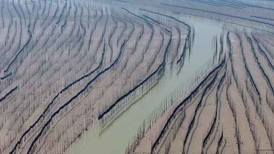 海洋养殖海带紫菜养殖业航拍福建霞浦