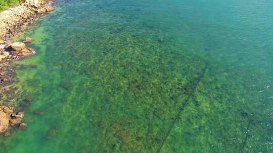 航拍三亚后海皇后湾冲浪及海棠湾海岛海浪