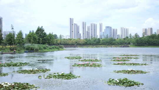 武汉洪山区杨春湖公园