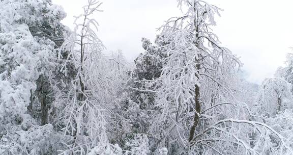 航拍山林雪景