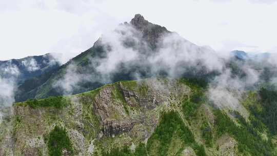 山川云雾 高山 森林植被