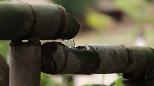 竹筒流水溪水自然环境