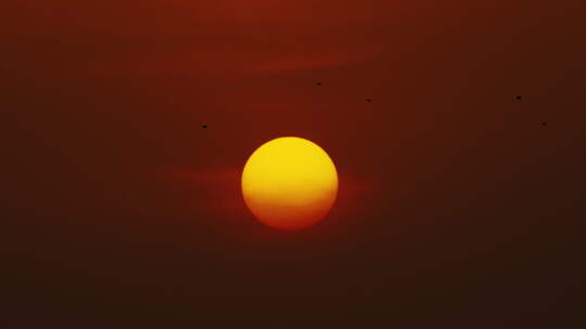 红日 旭日 落日 夕阳 朝阳视频素材模板下载