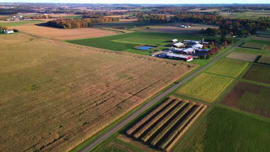 Farm Lapse