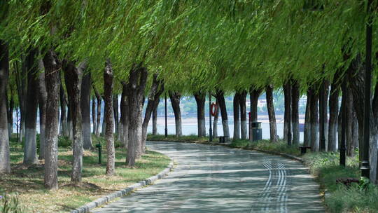 武汉汉阳江滩公园风景