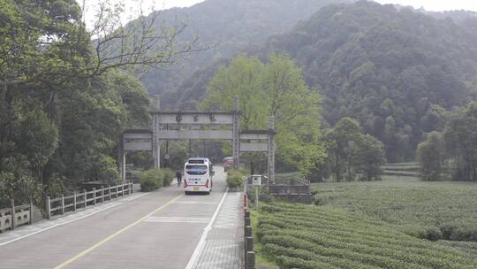 杭州西湖梅家坞茶园茶山