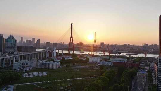 杨浦大桥 杨浦区 上海交通 车流夜景