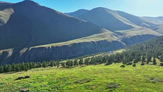 航拍新疆东天山原始森林高山草原风光