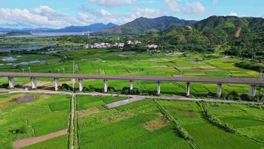 乡村田野上的高铁高架桥风景