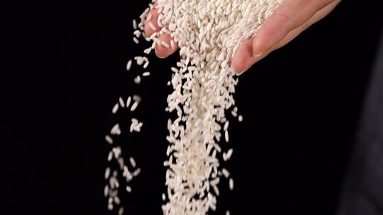 米和豆子