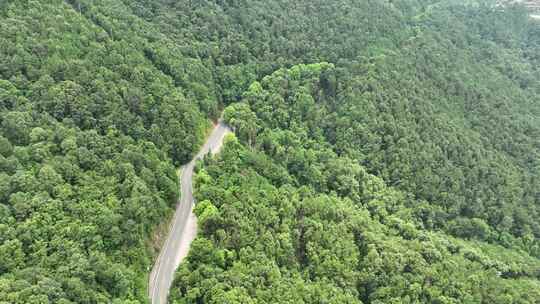 森林公路航拍山路树林道路俯拍林间道路风景