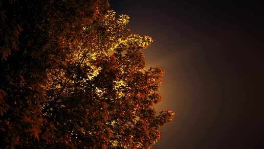 一棵发光的树抽象艺术感氛围感意识流丁达尔