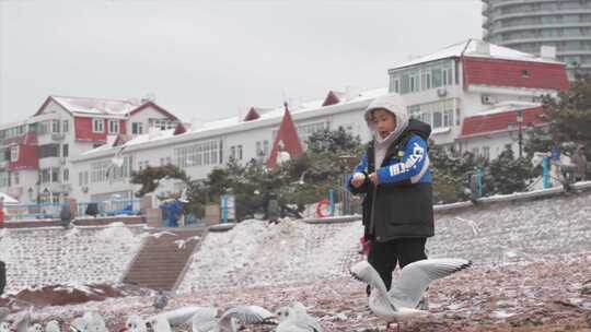 海边投喂海鸥的冬日景象 青岛栈桥