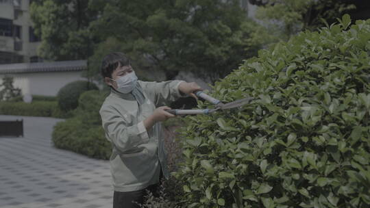 花草修剪视频素材模板下载