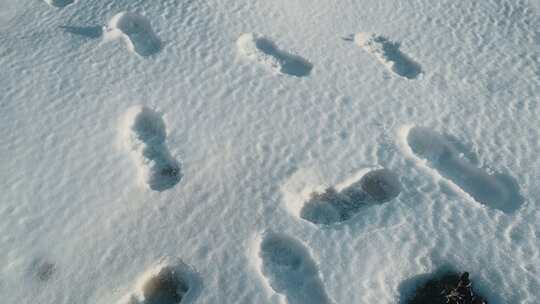 冬季西藏雪地脚印足迹