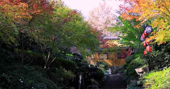 杭州永福寺红枫秋景