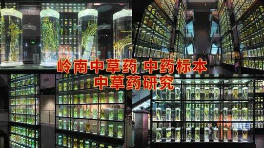 广东中医药博物馆 中药标本展区高清在线视频素材下载