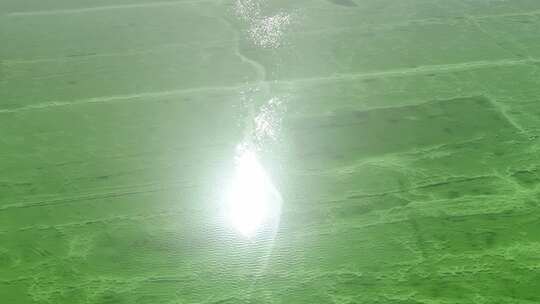 光芒耀眼的察尔汗盐湖