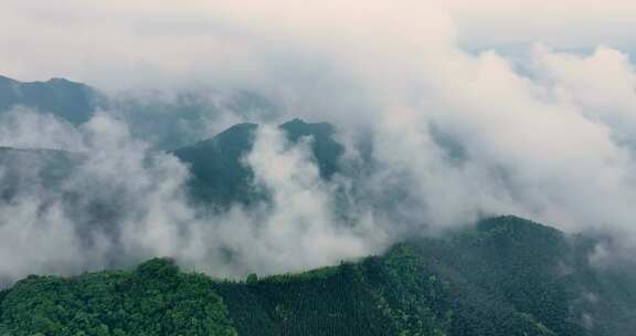 广西山区竹林竹海竹山云海翻滚航拍