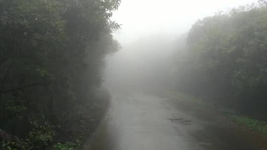 在雾蒙蒙的路上开车看风景