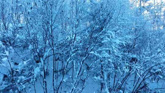 大兴安岭航拍林海雪原银装素裹