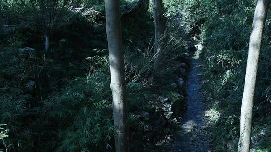 杭州飞来峰永福寺禅院风景