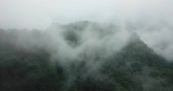 云气山林、烟雾缭绕、苍翠氤氲天台山 (13)