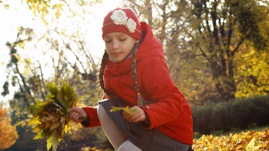 小女孩在公园捡枫叶