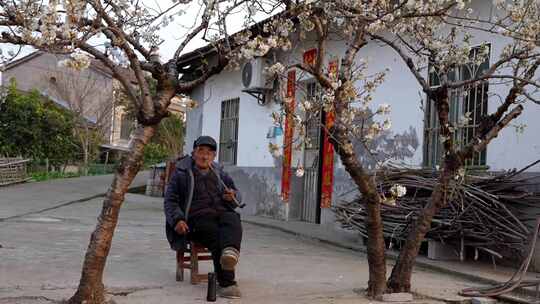 相机高清摄乡村屋前樱桃树下的农民老汉1