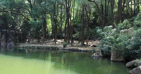 山间天池